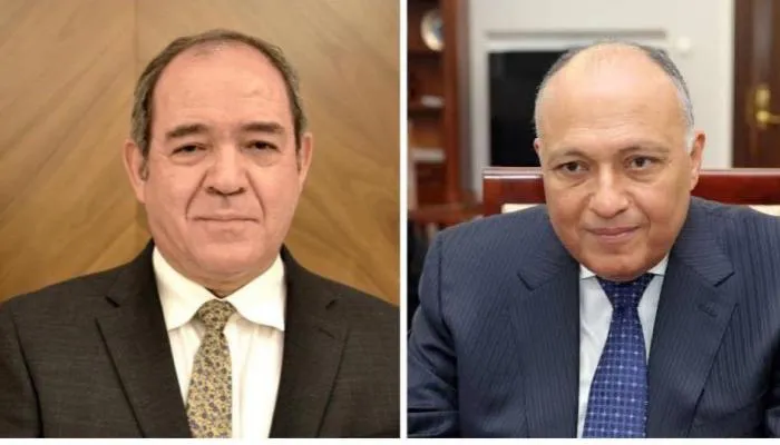 مباحثات مصرية جزائرية ولقاء مرتقب بين البلدين
