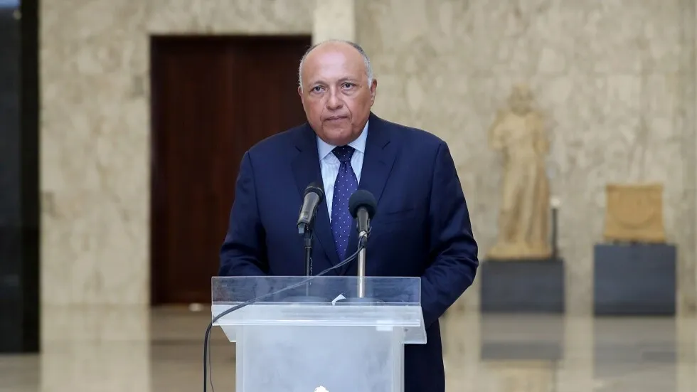 ​​​​​​​مصر: إنهاء التدخلات الخارجية في سوريا شرط لإحلال السلام