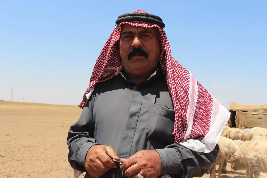 ​​​​​​​البدو قد يبيعون ماشيتهم في ظل هبوط أسعارها وتلف المحاصيل الزراعية  