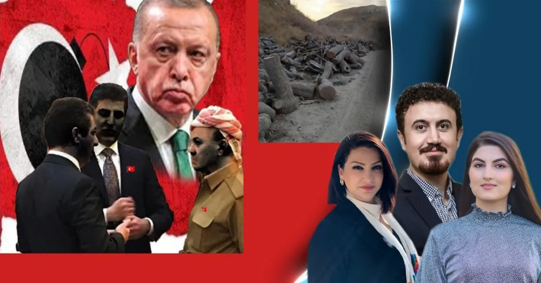 "أكثر من 450 طن من الأخشاب يتم قطعها من غابات باشور وبيعها في الأسواق يومياً"