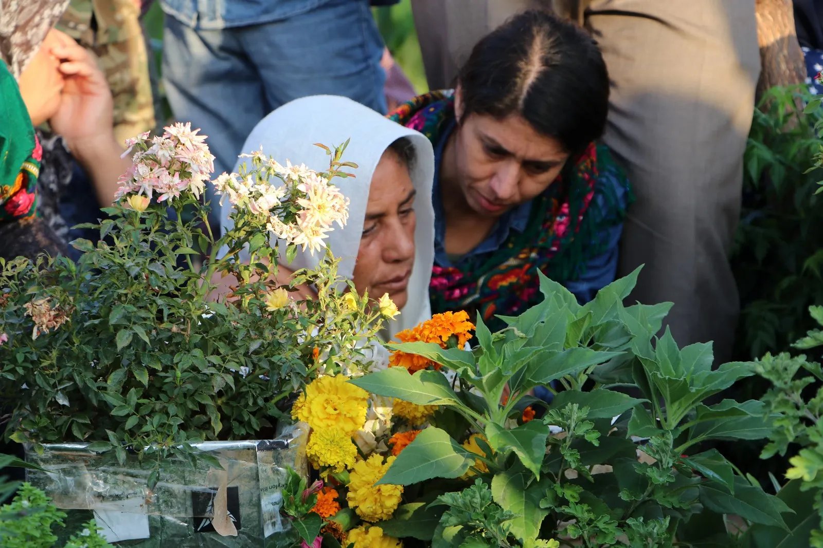 ​​​​​​​شمال وشرق تبدأ أولى أيام عيد الأضحى بزيارة مزارات الشهداء