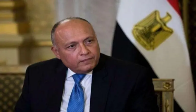 مصر: الملف الليبي شرطاً لعودة العلاقات مع تركيا