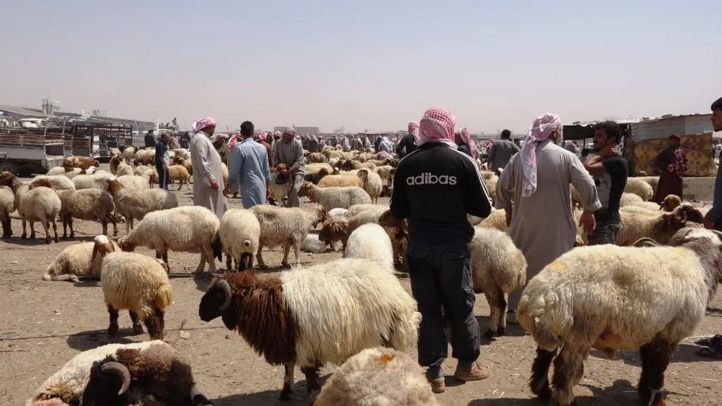 تحضيرات تسبق عيد الأضحى....أسواق شمال وشرق سوريا تشهد حركة ملحوظة