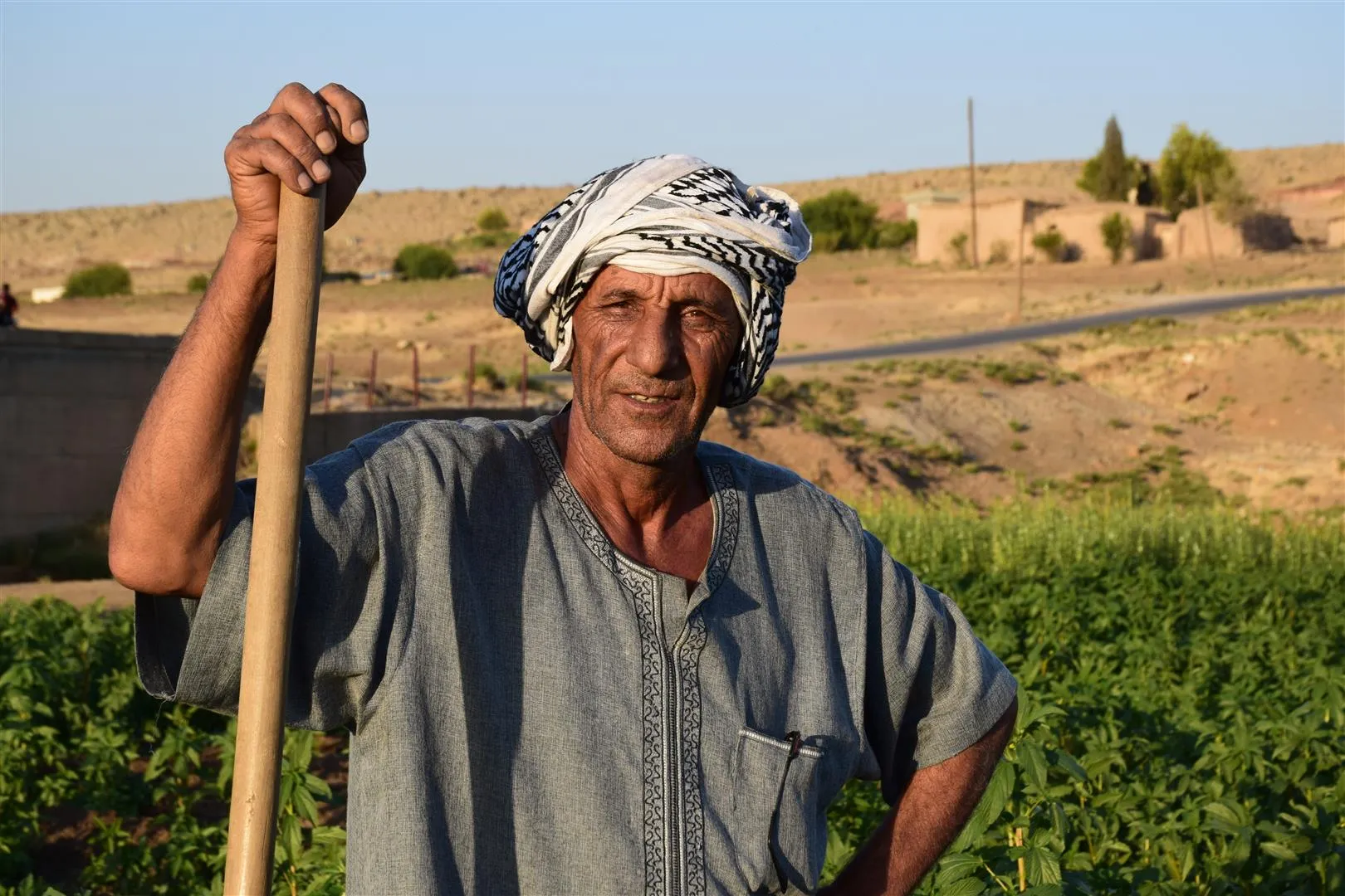 ​​​​​​​كري ديرا... قرية يرتبط اسمها بجودة إنتاج الخضروات فيها