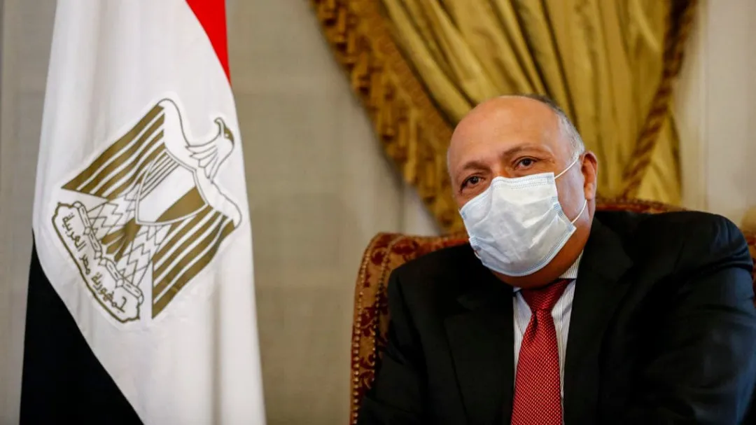 ​​​​​​​مصدر دبلوماسي عن المحادثات التركية المصرية: ركزت على انسحاب المرتزقة من ليبيا