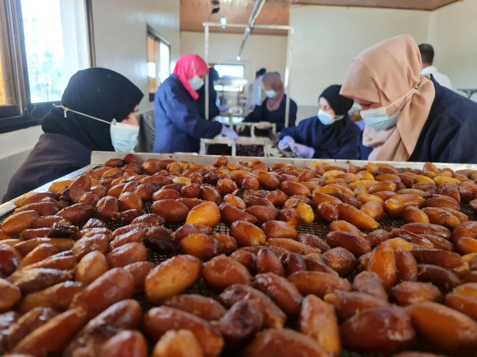 لتجاوز الفقر.. صناعة العجوة مهنة موسمية لنساء غزة