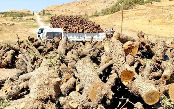 الاحتلال التركي بدأ بنهب وتدمير طبيعة قرى آميدية في كردستان