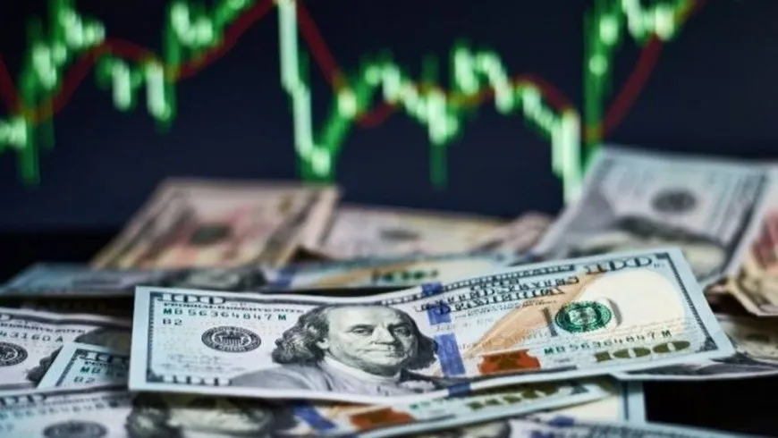 الليرة التركية تهبط مجددًا أمام الدولار