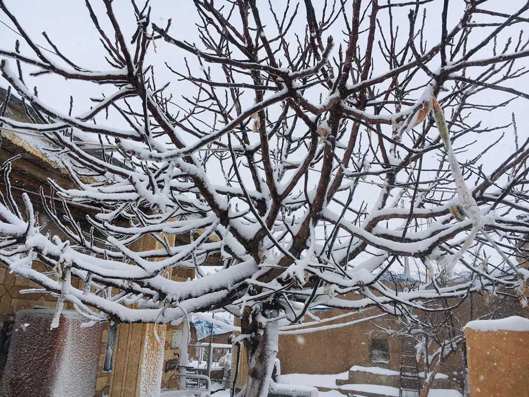 ​​​​​​​مقاطعة الحسكة ومدينة قامشلو تكتسي بالبياض