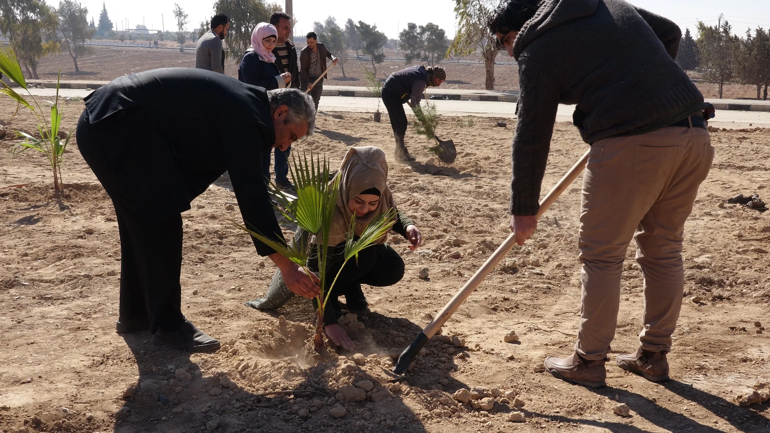 ​​​​​​​مديرية البيئة في الطبقة تطلق حملة لزراعة 12500 شجرة حراجية