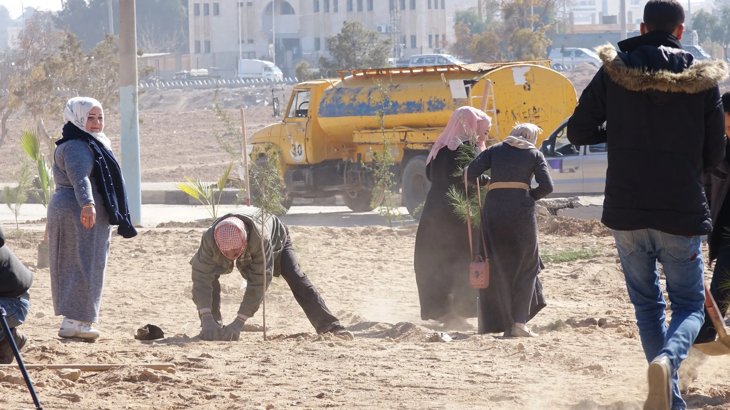 ​​​​​​​مديرية البيئة في الطبقة تطلق حملة لزراعة 12500 شجرة حراجية