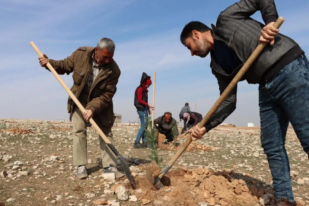 ​​​​​​​بهدف إنشاء غابة.. البدء بحملة تشجير جنوب مدينة كوباني