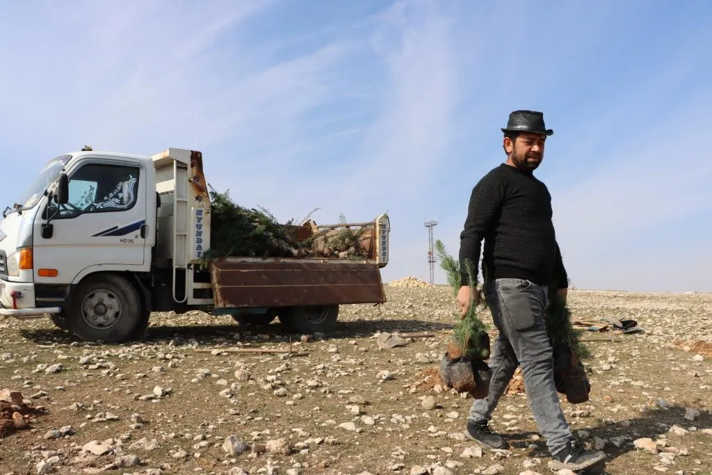 ​​​​​​​بهدف إنشاء غابة.. البدء بحملة تشجير جنوب مدينة كوباني