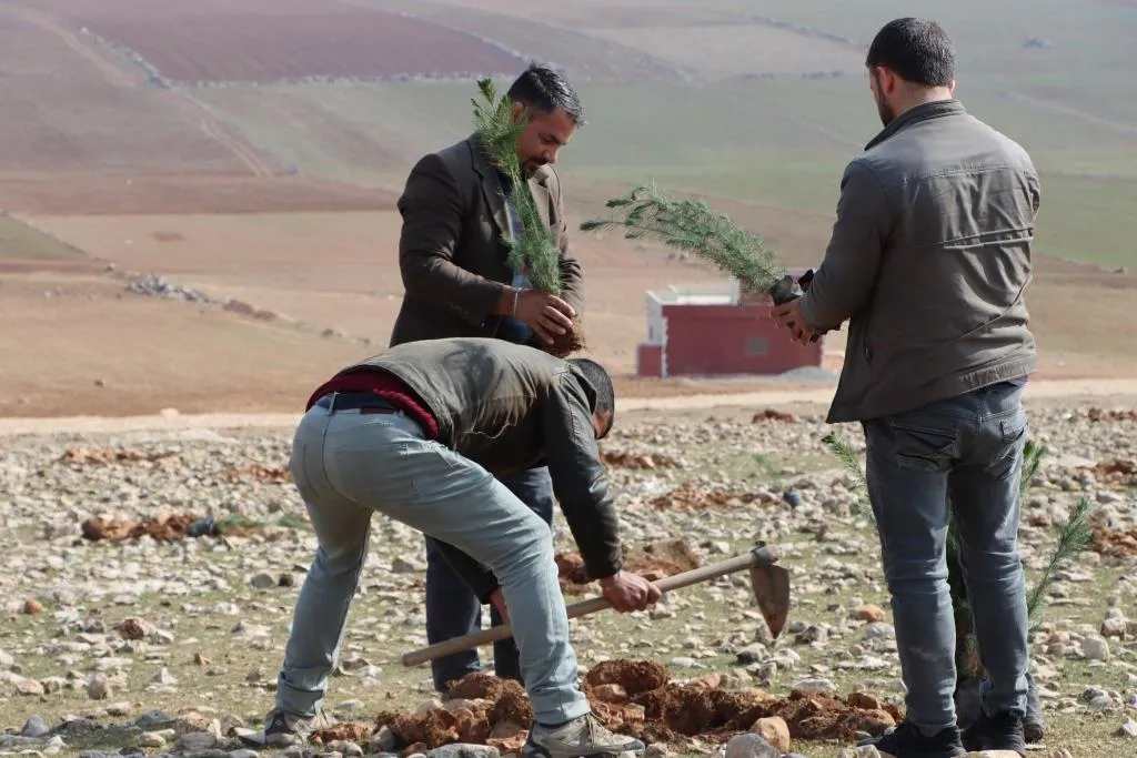 ​​​​​​​بهدف إنشاء غابة.. البدء بحملة تشجير جنوب مدينة كوباني