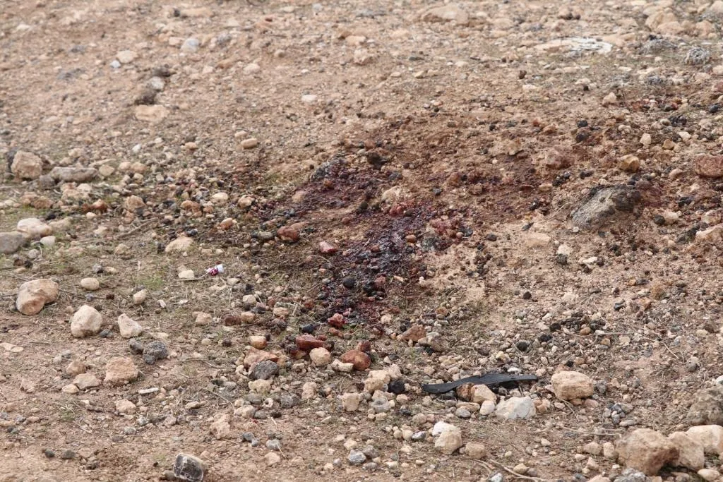 مجلس توبو: إرادتنا تتصاعد بقدر وحشية هجمات الدولة التركية
