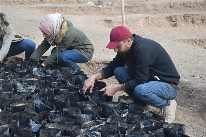"الجدائل الخضراء" تبدأ بإنشاء مشتل لزراعة 6 آلاف شجرة