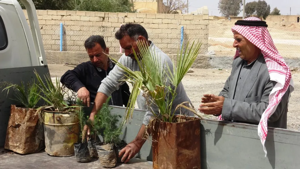بلدية عين عيسى توزع 1500 شجرة احتفاءً بميلاد القائد عبد الله أوجلان