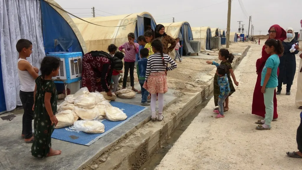 ​​​​​​​متجاهلةً أوضاعهم المعيشية.. المنظمات الإنسانية تقلص دعمها لمهجري مخيم كري سبي
