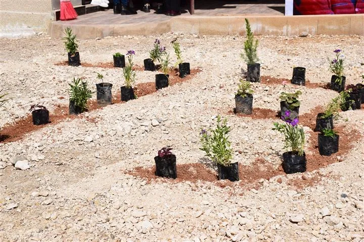 ​​​​​​​بمناسبة ميلاد القائد أوجلان.. حملات ومبادرات تشجير في شمال وشرق سوريا