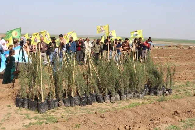 ​​​​​​​بمناسبة ميلاد القائد أوجلان.. حملات ومبادرات تشجير في شمال وشرق سوريا