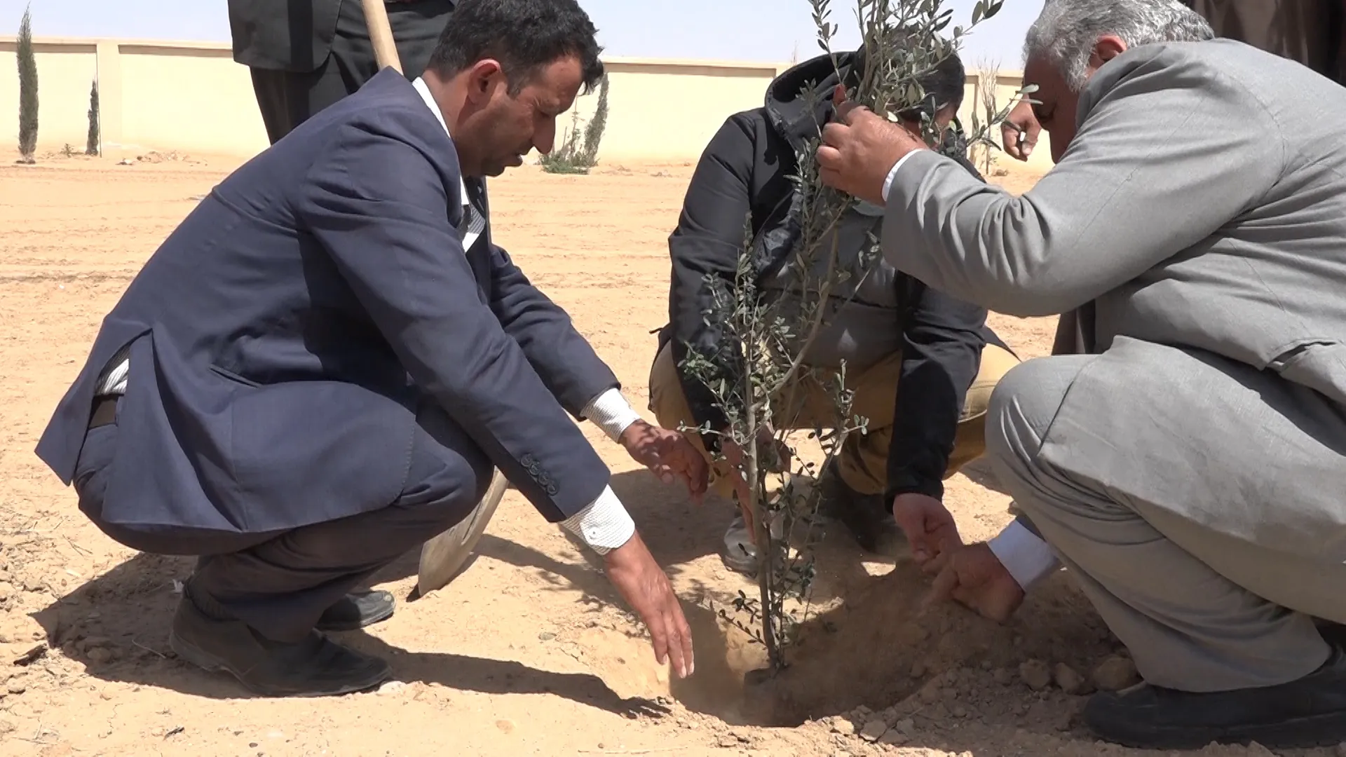 ​​​​​​​حملة تشجير في ريف دير الزور بمناسبة ميلاد القائد أوجلان