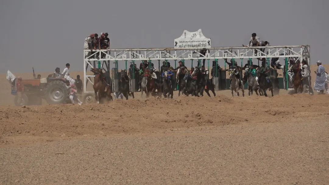 ​​​​​​​مجلس المنطقة الشرقية ينُظم مهرجان الخيول السنوي في ريف دير الزور الشرقي