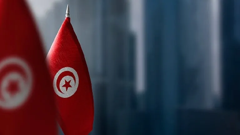​​​​​​​من نظام برلماني إلى رئاسي!.. الرئيس التونسي ينشر مشروع دستور جديد للبلاد