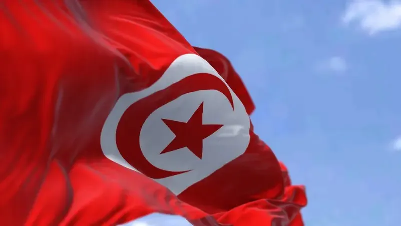 ​​​​​​​مراكز الاقتراع تفتح أبوابها في الخارج للتصويت على دستور تونس الجديد