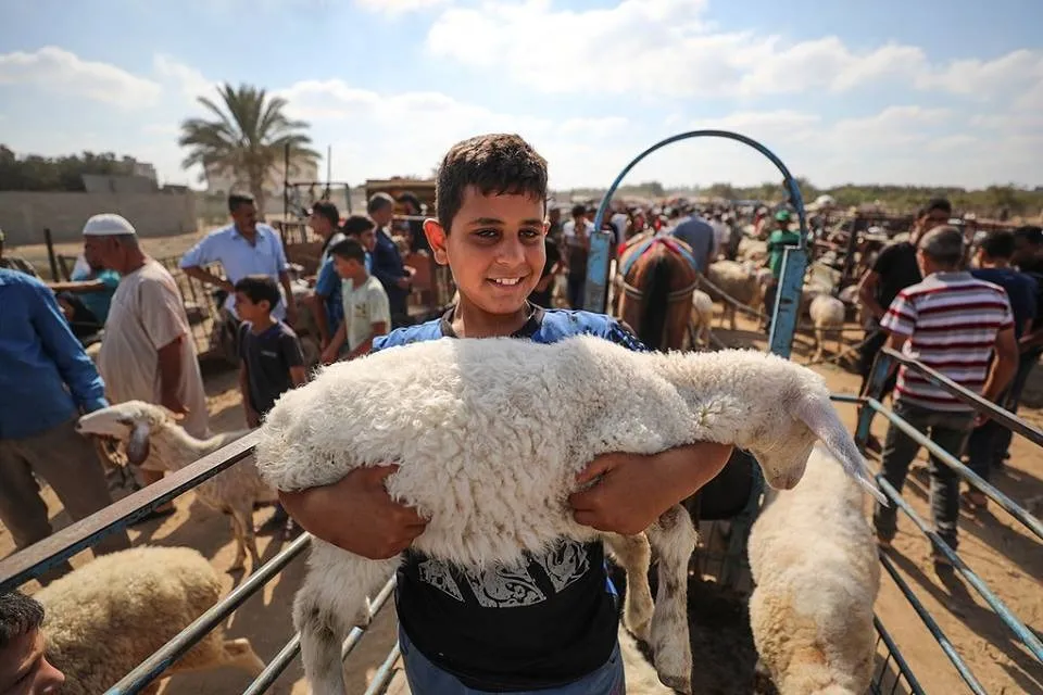 عيد الأضحى كـ "مساحة للفرح".. تقاليد وعادات لا يمكن نسيانها في غزة