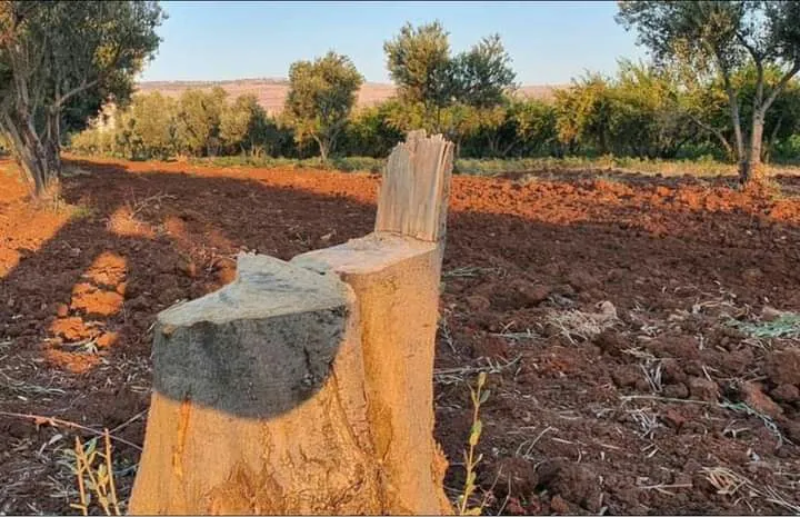 ​​​​​​​خلال أسبوع.. استخبارات الاحتلال التركي ومرتزقتها يختطفون 9 مواطنين ويغتصبون شابة