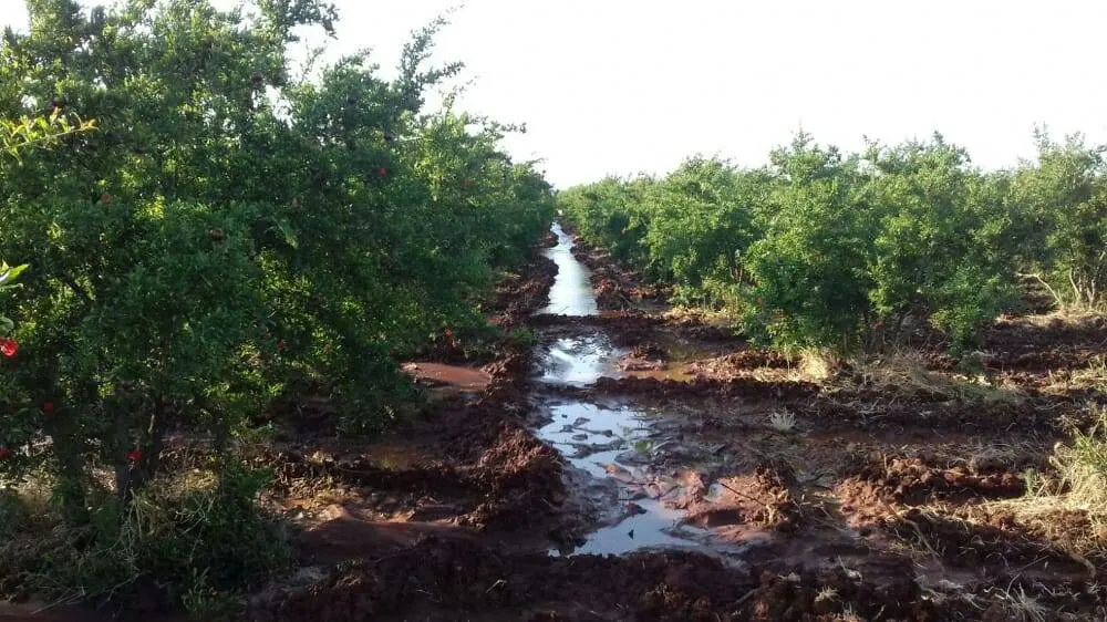 ​​​​​​​خلال أسبوع.. استخبارات الاحتلال التركي ومرتزقتها يختطفون 9 مواطنين ويغتصبون شابة