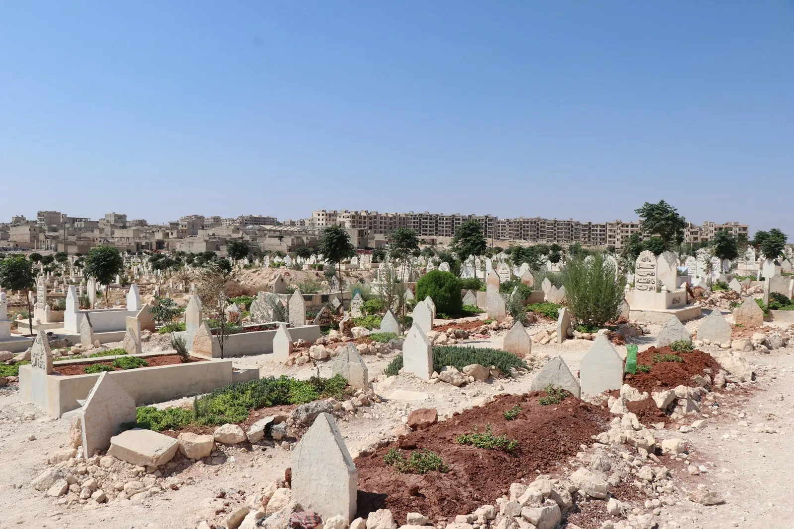 ماتوا ولكن حملوا معهم حلماً لا يموت بالعودة إلى عفرين بعد تحريرها