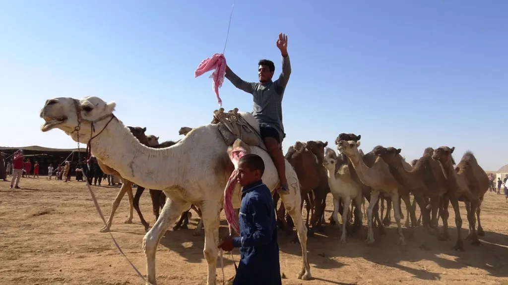 فعاليات مهرجان تل أبيض للثقافة والتراث تنتهي بالتأكيد على أن الاحتلال لن يستطيع طمس الهوية