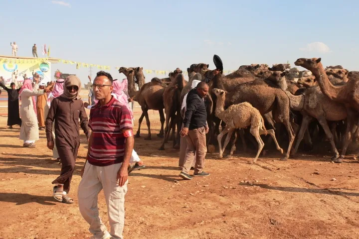 افتتاح مهرجان تل أبيض للثقافة والتراث بعد انقطاع دام أربع سنوات على التوالي