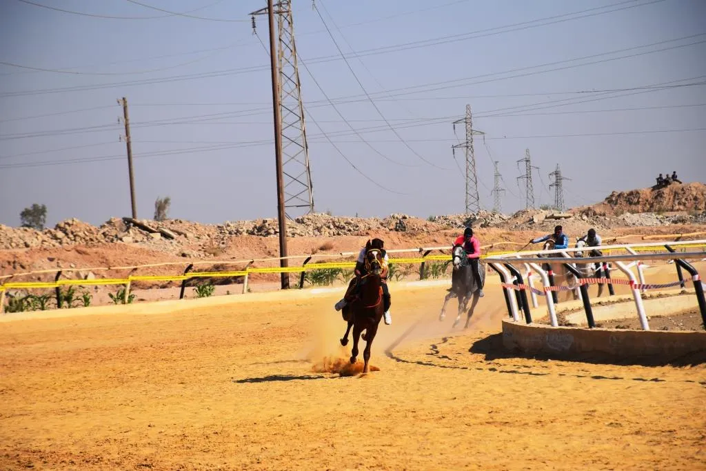 انطلاق مهرجان سباق الخيول الأصيلة في الرقة