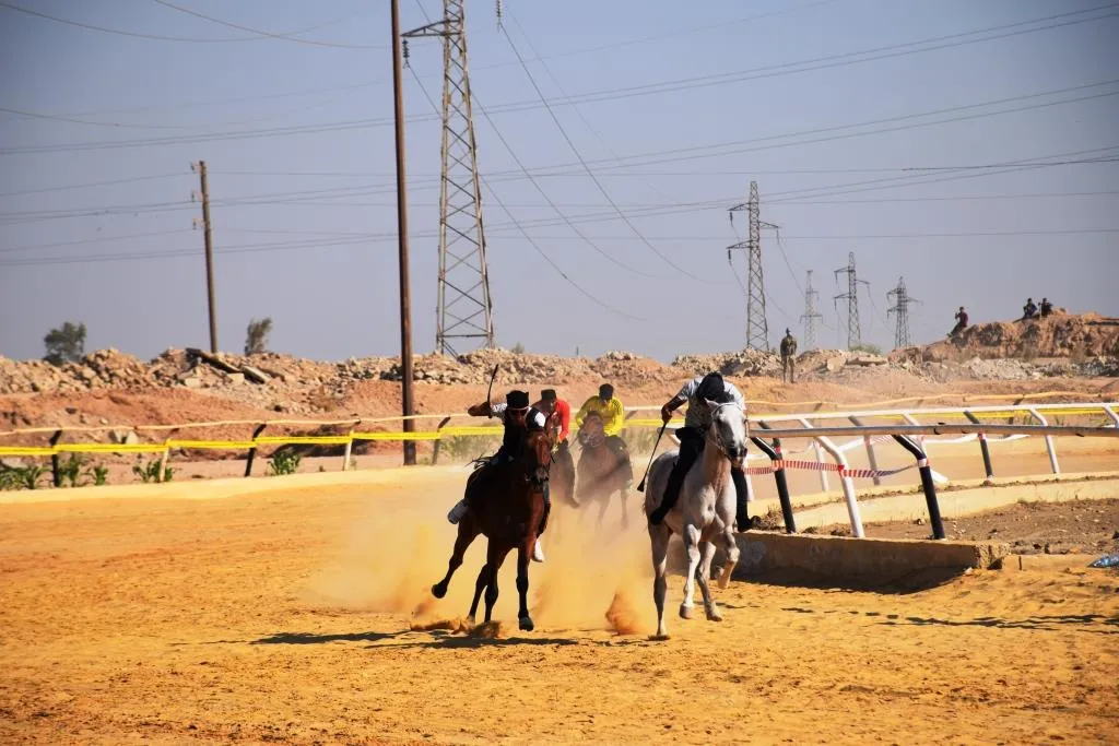 انطلاق مهرجان سباق الخيول الأصيلة في الرقة