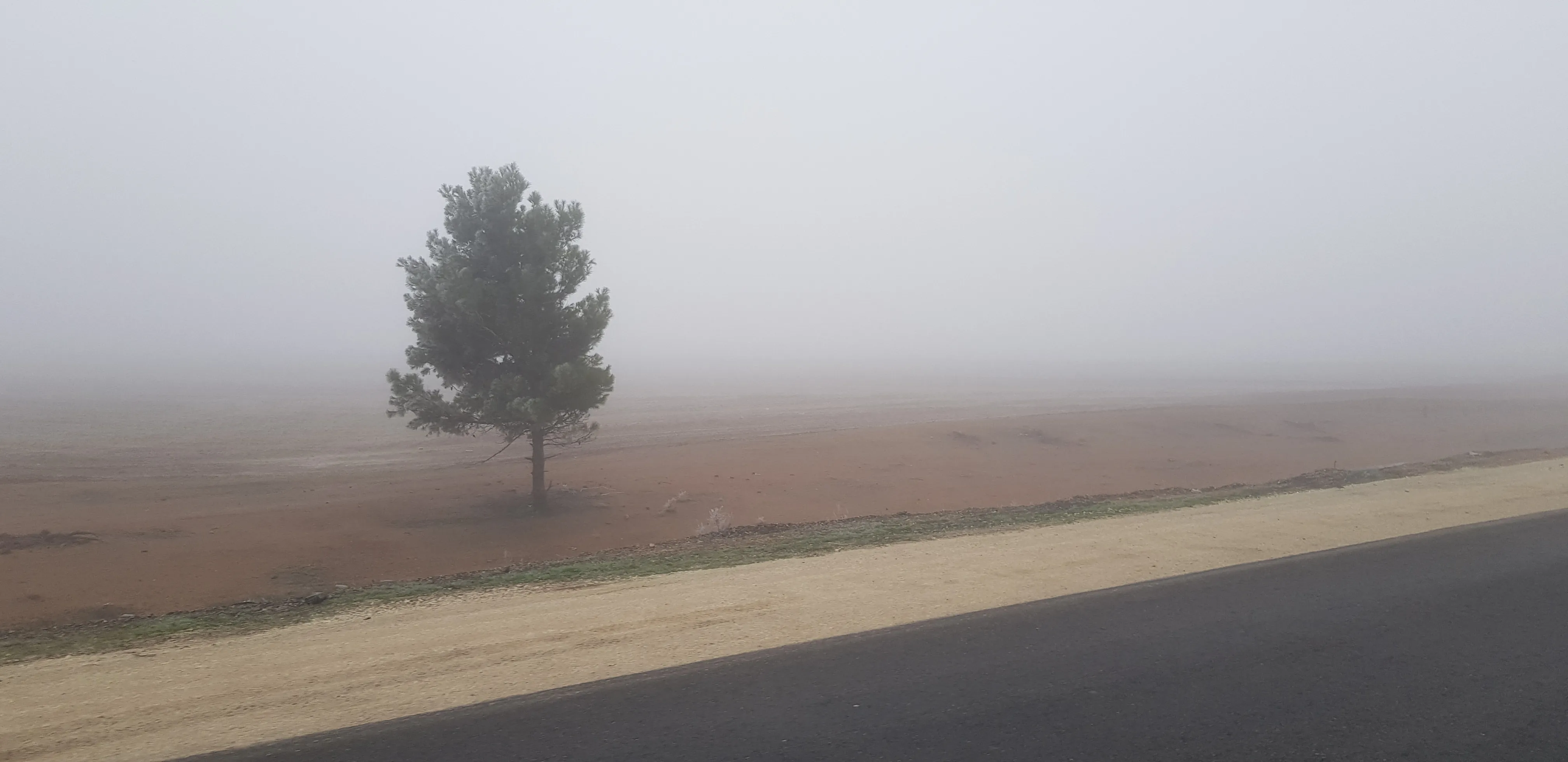 ضباب كثيف يغطي قامشلو ومحيطها