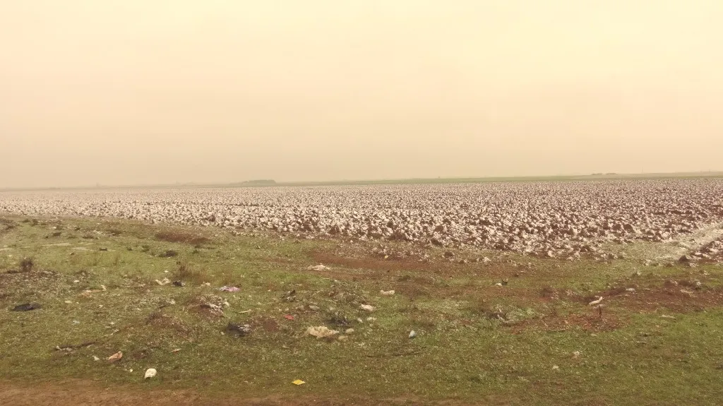 ​​​​​​​هطولات ثلجية ومطرية في شمال وشرق سوريا