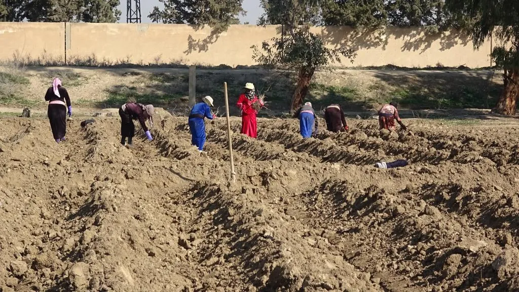 ​​​​​​​تجمع نساء زنوبيا يطلق حملة لزراعة نحو 4500 شجرة