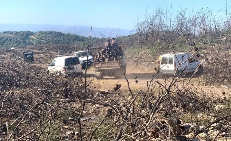 في ظل غياب الدولة.. اللبنانيون يحمون غاباتهم من عمليات القطع الجائر