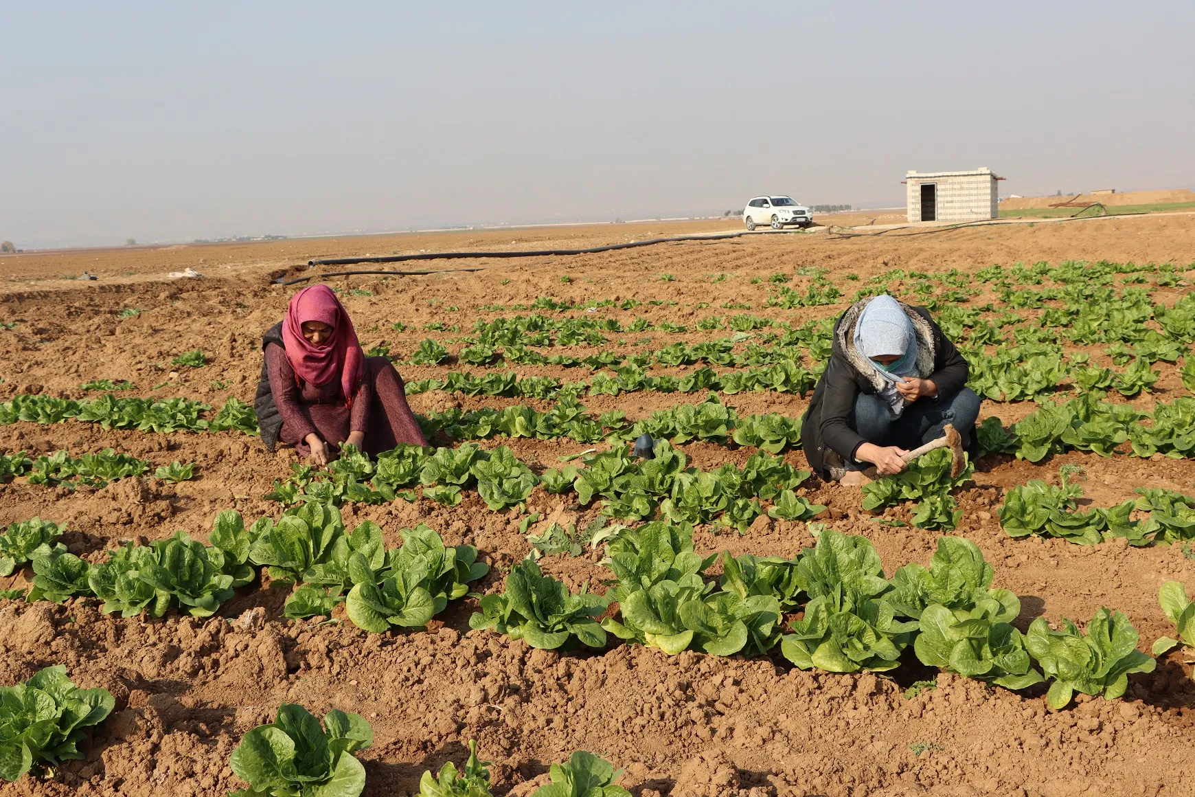 ​​​​​​​اقتصاد المرأة.. خطوة مهمة نحو الاكتفاء الذاتي وتحقيق استقلالها الاقتصادي