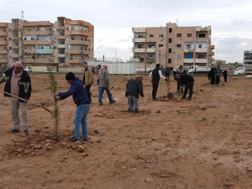 ​​​​​​​50 ألف شجرة ستُزرع في الطبقة في غضون 3 أشهر