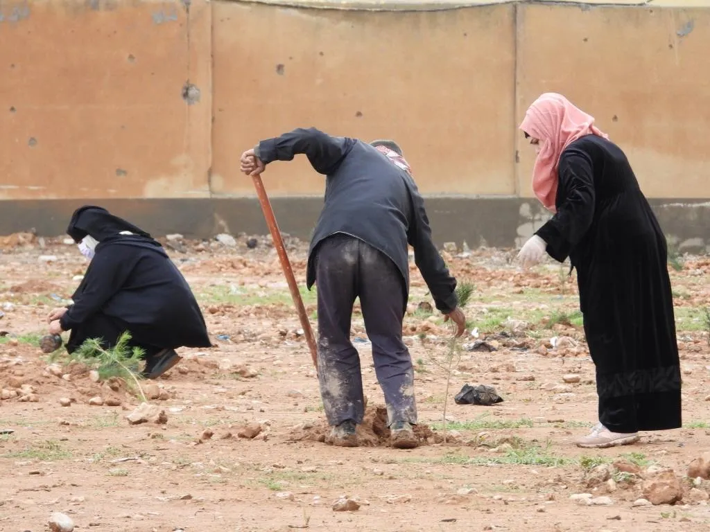 ​​​​​​​50 ألف شجرة ستُزرع في الطبقة في غضون 3 أشهر