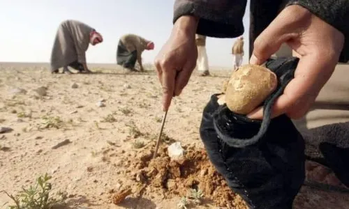 لغم أرضي أم هجوم لداعش؟.. مواطنون قضوا بريف حماة أثناء بحثهم عن "الكمأة"