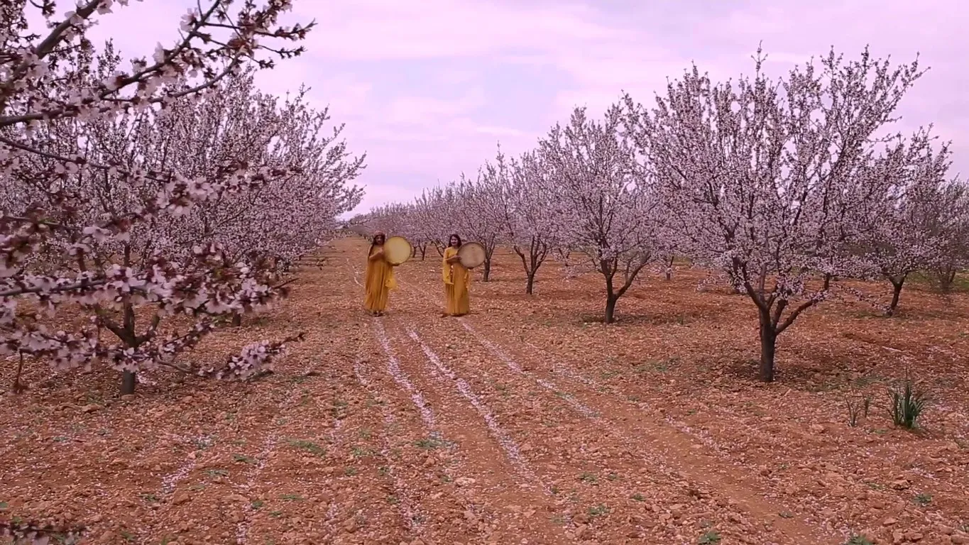 إصدار جديد من حركة الهلال الذهبي" Jin im jiyan im"