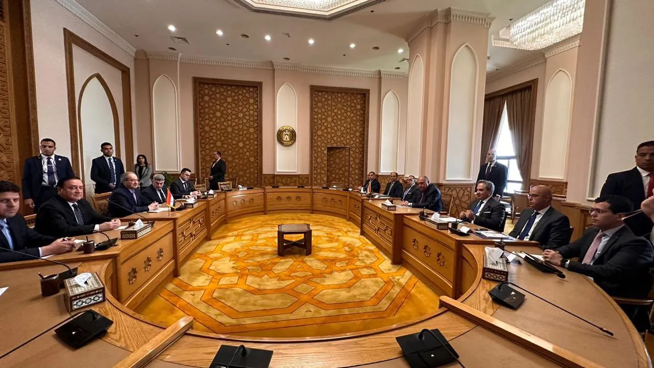 ​​​​​​​الخارجية المصرية: التسوية السياسة في سوريا ستضع حداً للتدخلات الخارجية