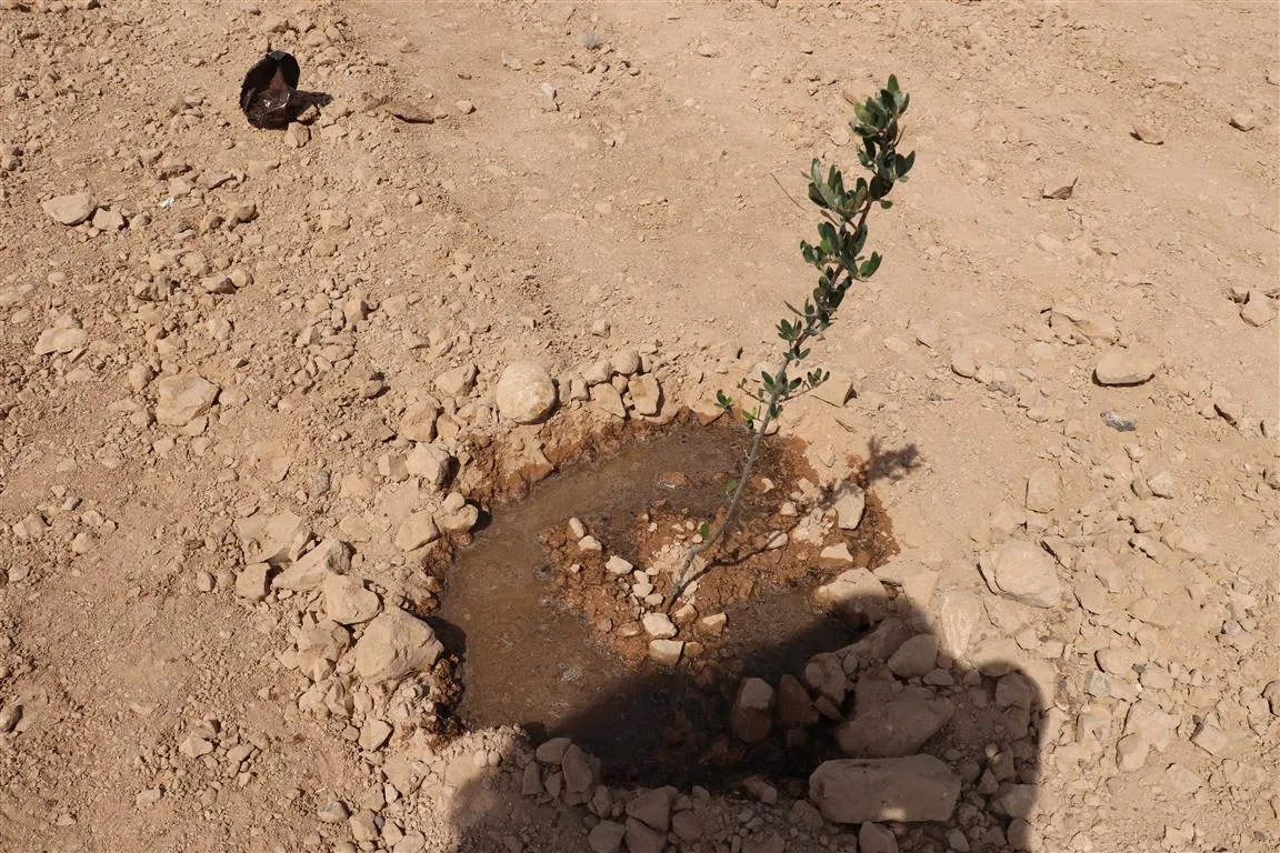 ​​​​​​​فعاليات بيئية واحتفالات بمناسبة ميلاد القائد عبد الله أوجلان