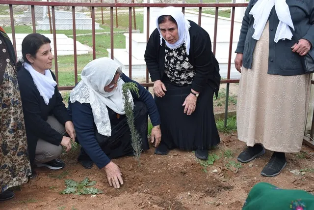 ​​​​​​​بمناسبة ميلاد القائد عبد الله أوجلان.. سلسلة فعاليات في حلب وإقليم الجزيرة - تم التحديث