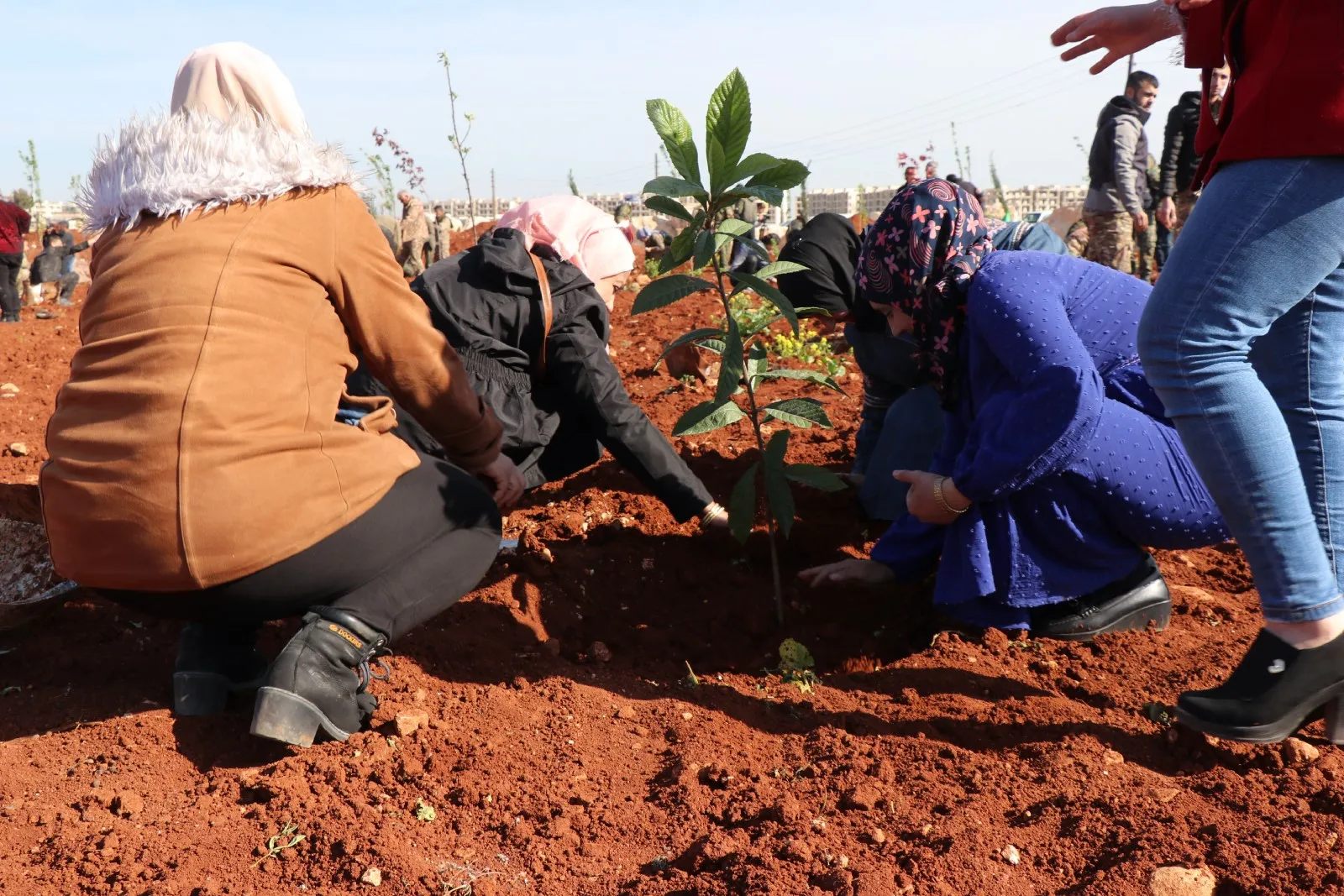 في احتفاليتين بحلب والشهباء: سنواصل مسيرة مبتدع فلسفة "Jin, Jiyan, Azadî"