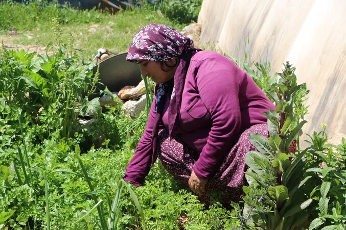 ​​​​​​​​​​​​​​"اهتمامنا بالزراعة يعيد بذاكرتنا إلى عفريننا المحتلة"